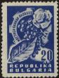 Stamp ID#17260 (1-1-177)