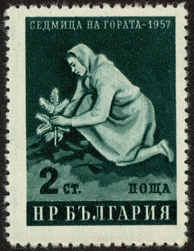 Front view of Bulgaria 977 collectors stamp