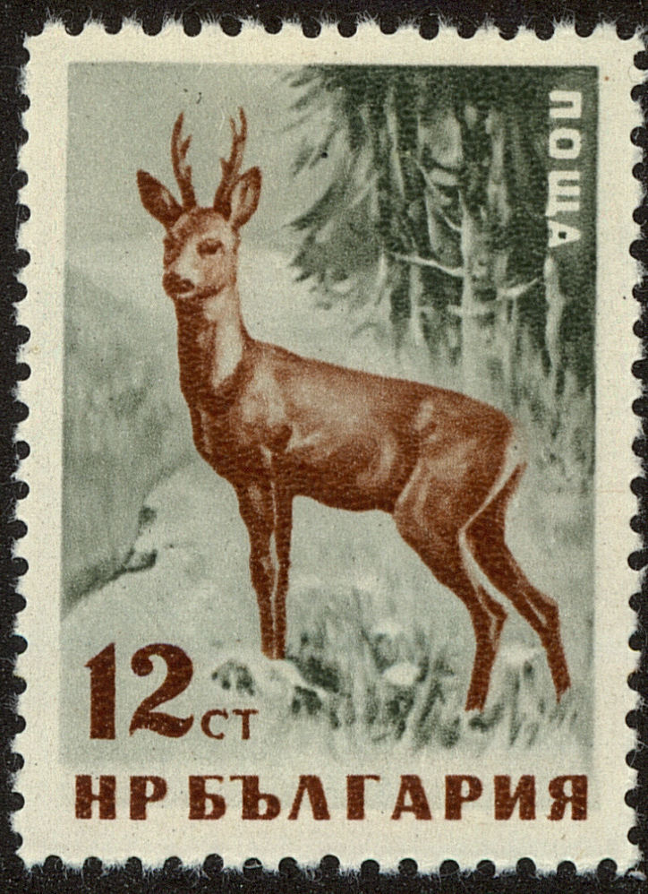 Front view of Bulgaria 1005 collectors stamp