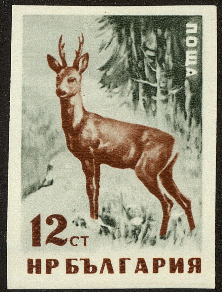 Front view of Bulgaria 1005a collectors stamp
