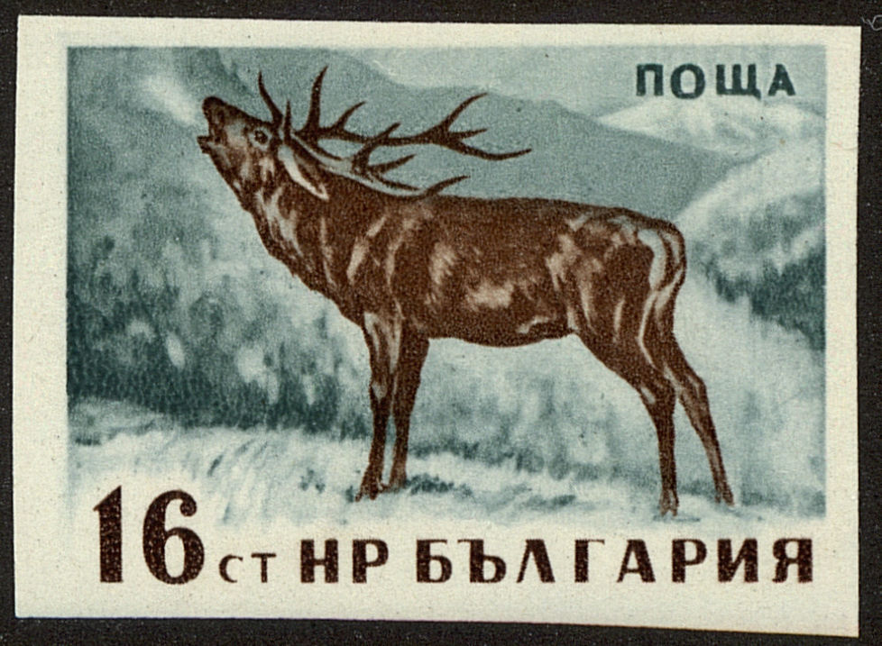 Front view of Bulgaria 1006a collectors stamp