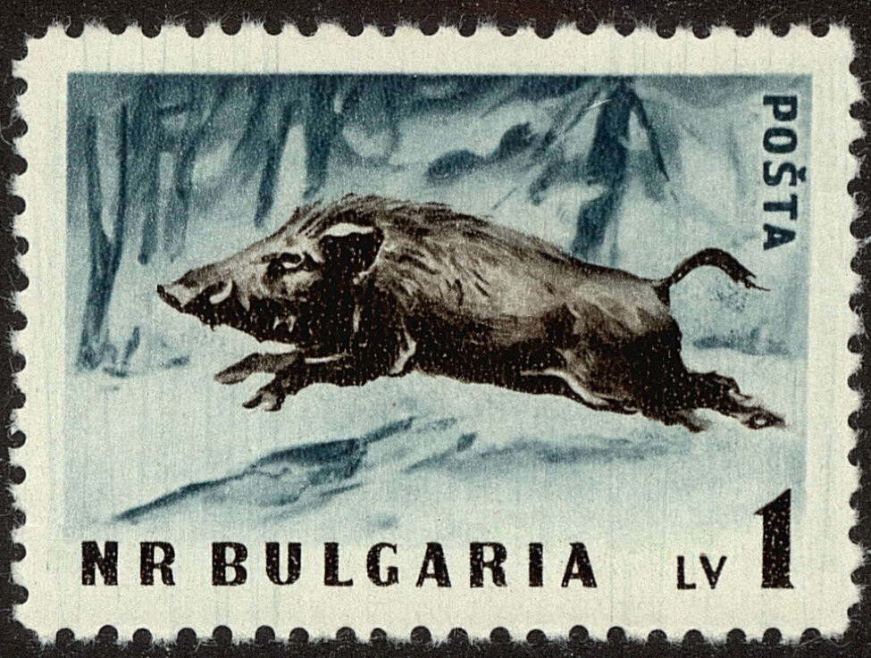 Front view of Bulgaria 1009 collectors stamp