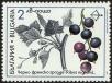 Stamp ID#17895 (1-1-812)