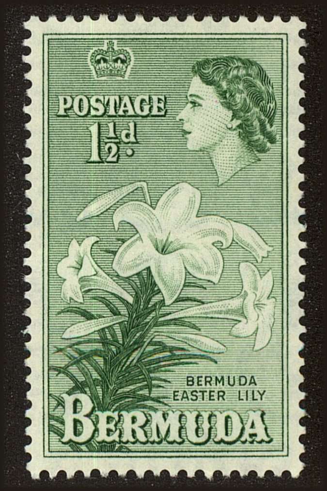 Front view of Bermuda 145 collectors stamp