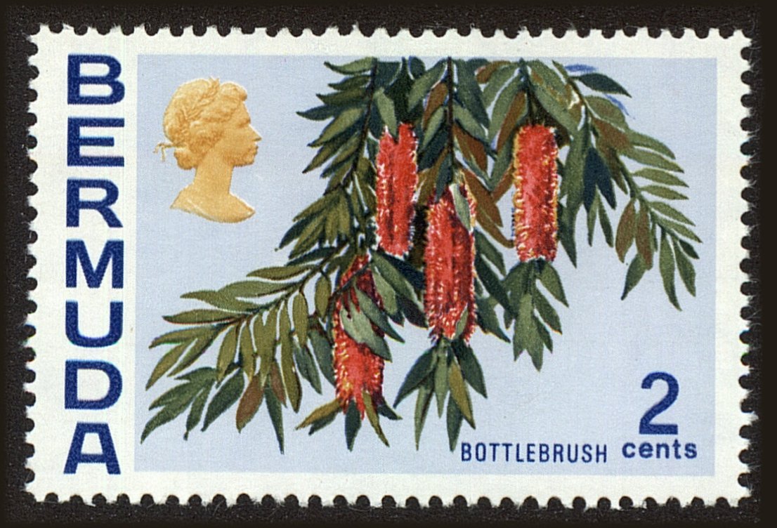 Front view of Bermuda 256 collectors stamp