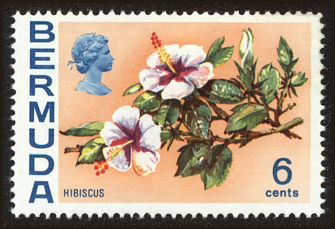 Front view of Bermuda 260 collectors stamp
