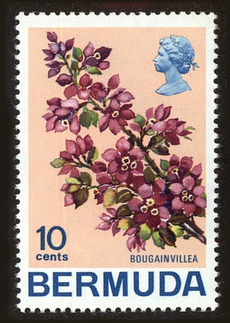 Front view of Bermuda 262 collectors stamp