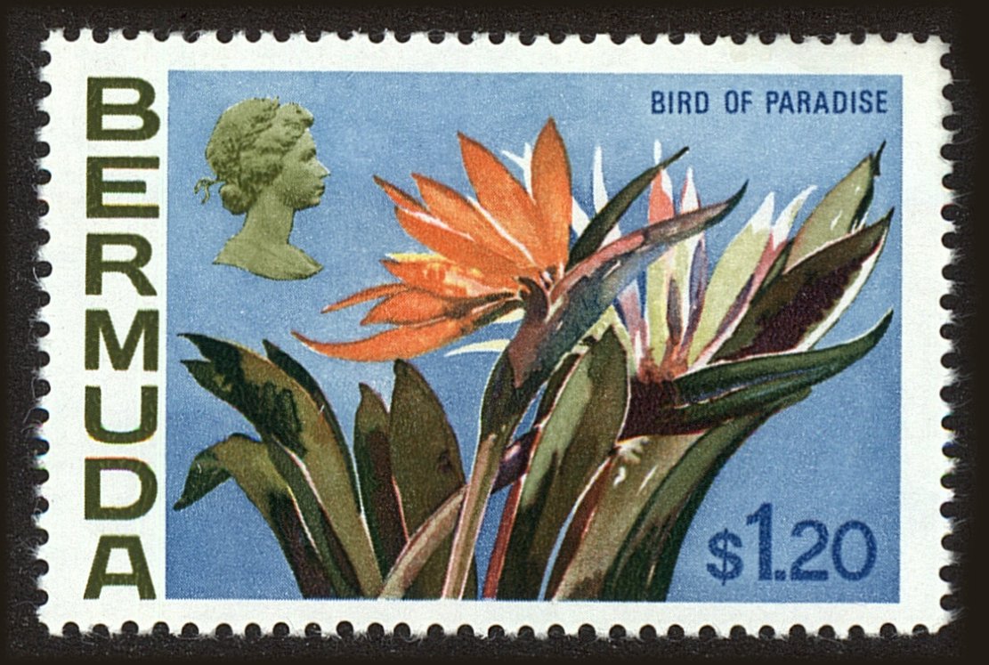 Front view of Bermuda 270 collectors stamp