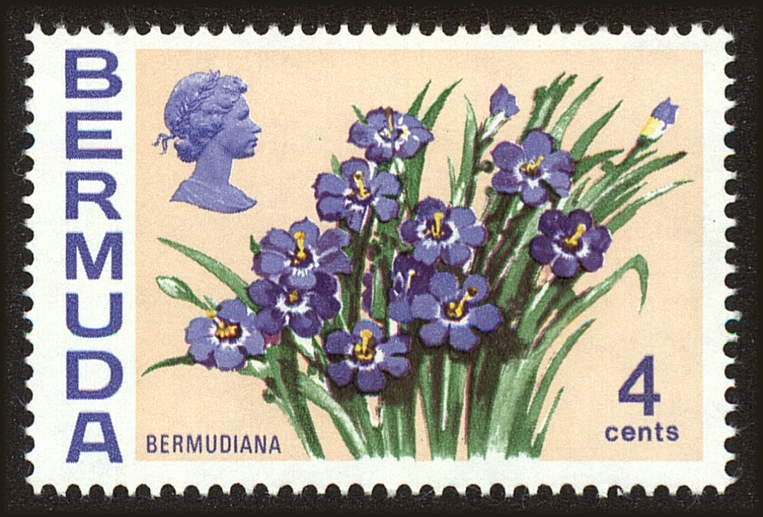 Front view of Bermuda 258 collectors stamp