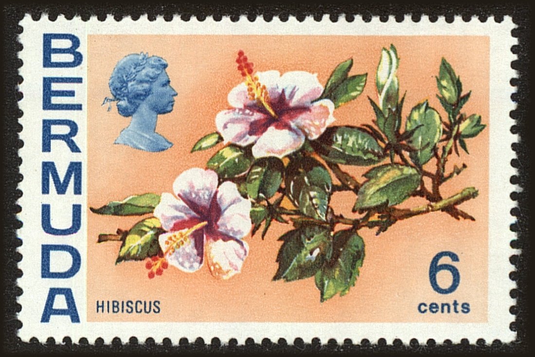 Front view of Bermuda 260 collectors stamp