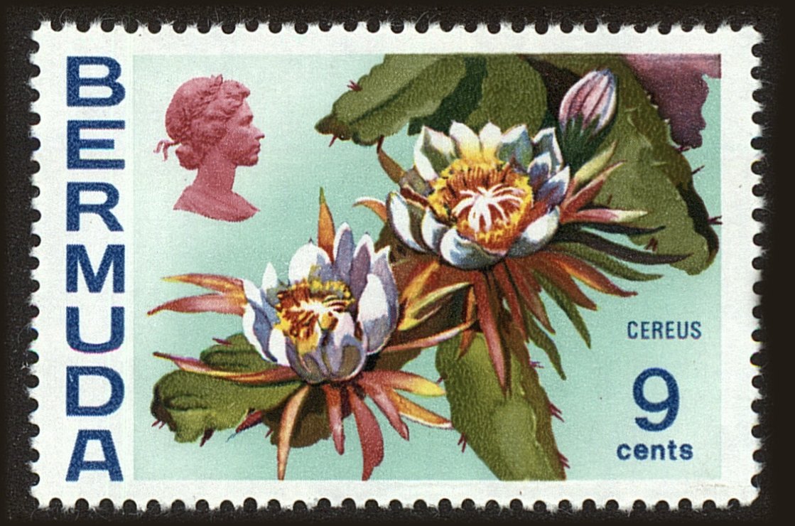 Front view of Bermuda 261 collectors stamp