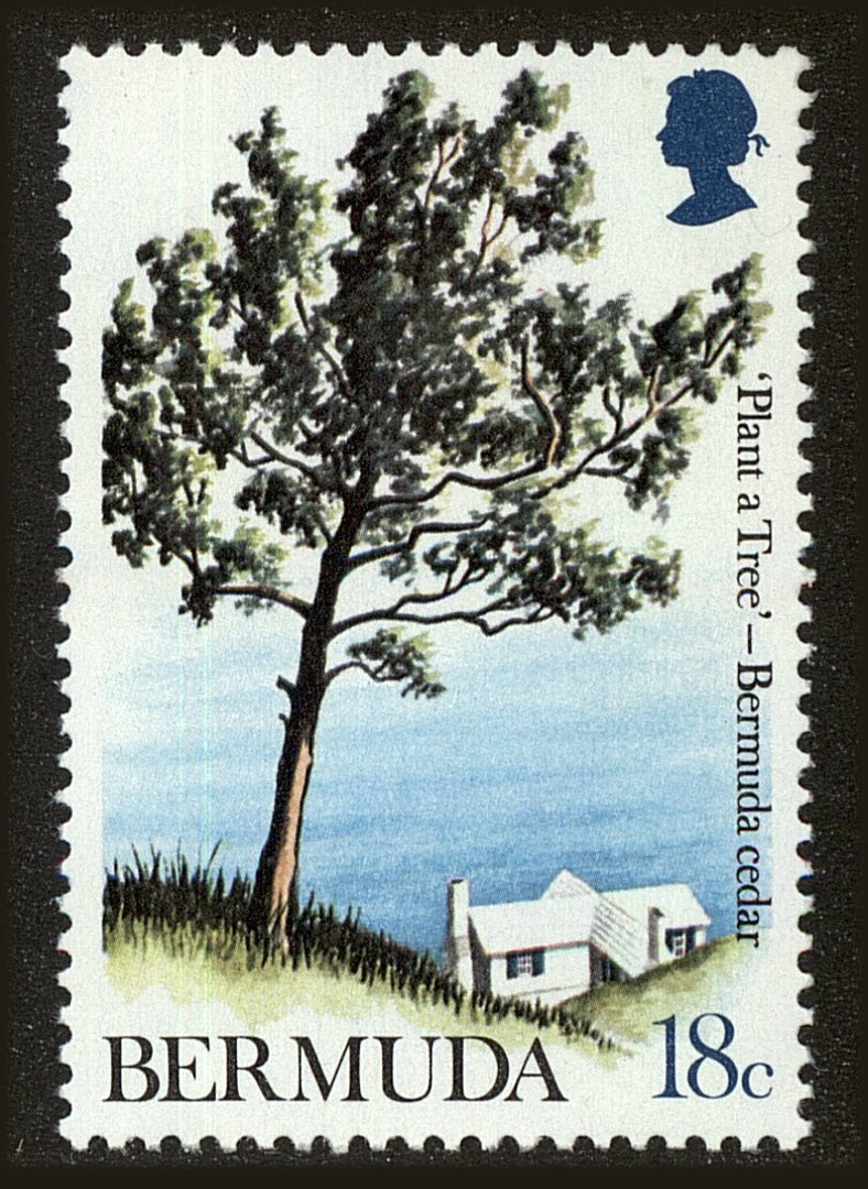 Front view of Bermuda 300 collectors stamp
