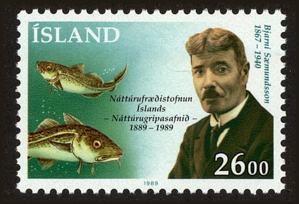 Front view of Iceland 683 collectors stamp
