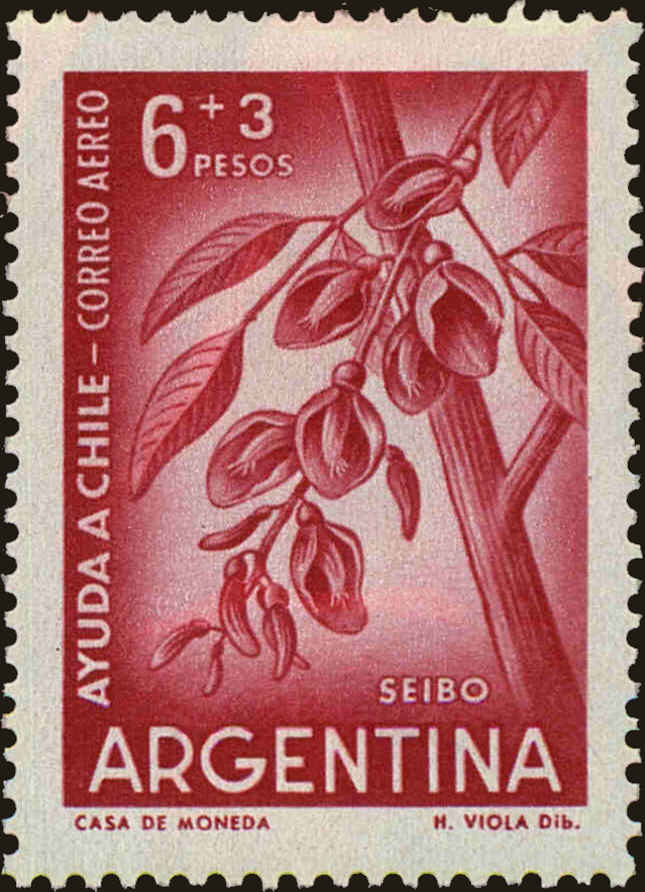 Front view of Argentina CB23 collectors stamp