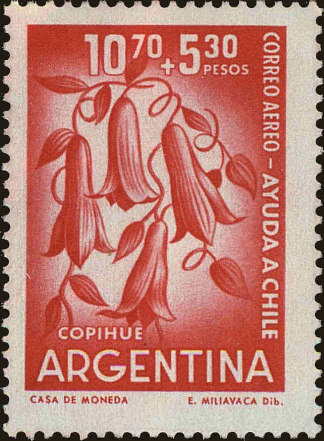 Front view of Argentina CB24 collectors stamp