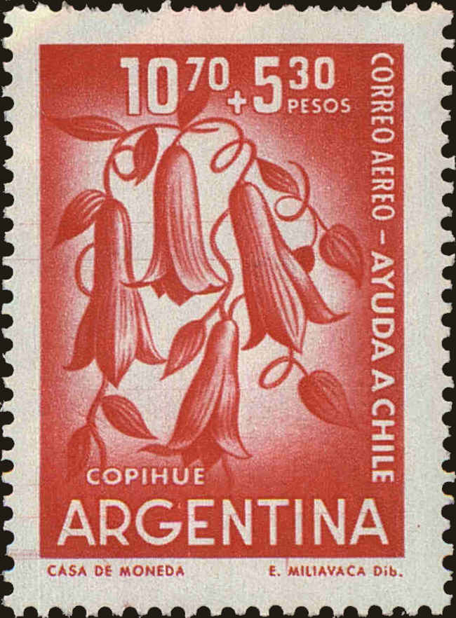 Front view of Argentina CB24 collectors stamp