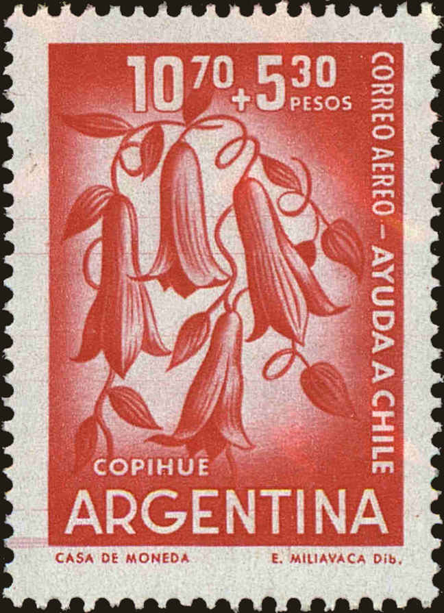 Front view of Argentina CB24 collectors stamp