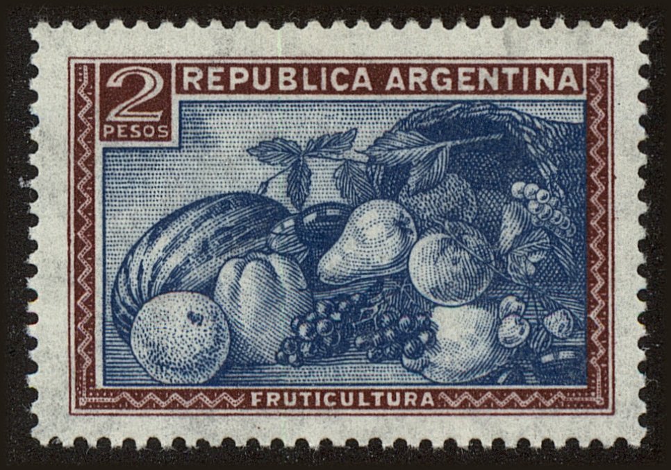 Front view of Argentina 499 collectors stamp