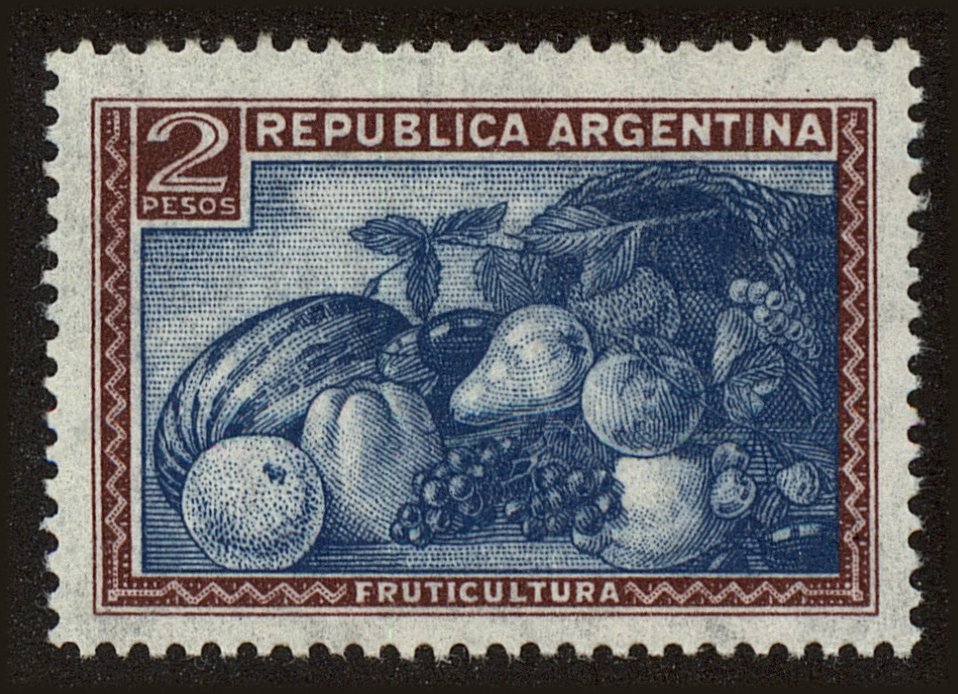 Front view of Argentina 499 collectors stamp