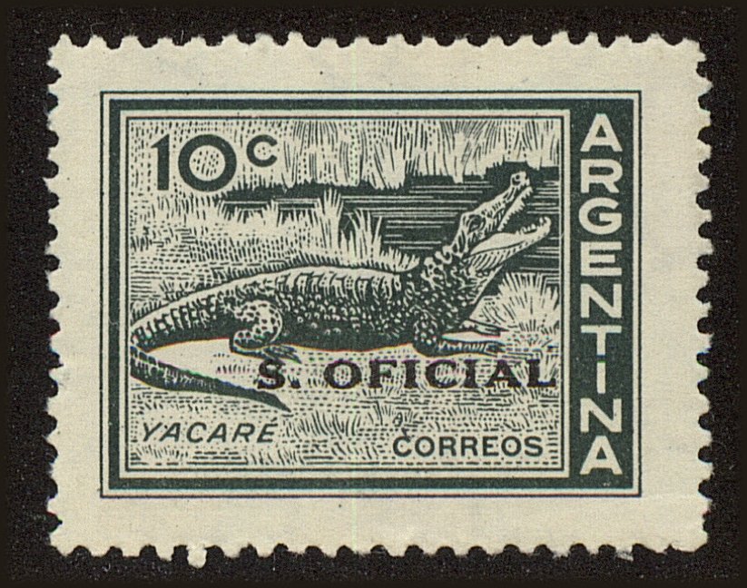 Front view of Argentina O113 collectors stamp