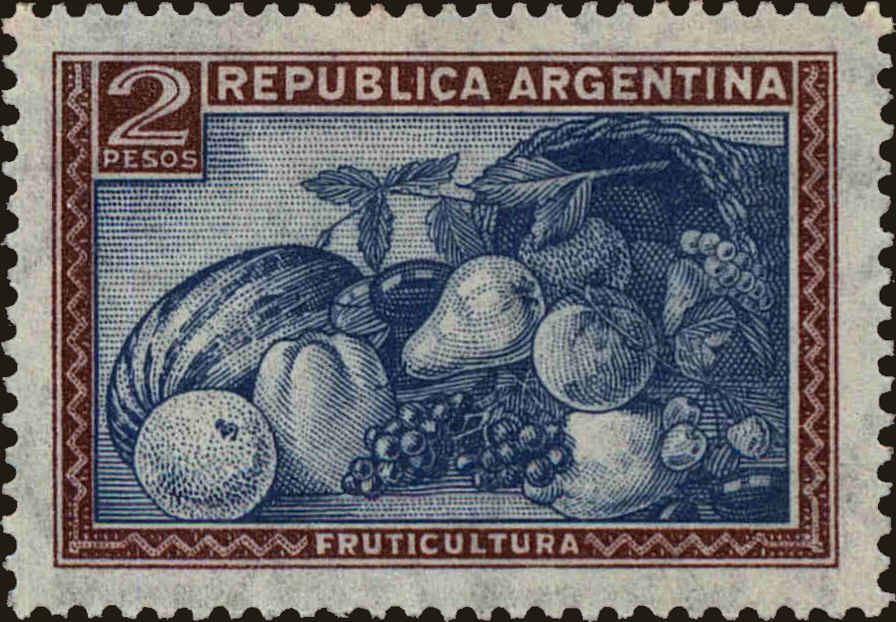 Front view of Argentina 499 collectors stamp