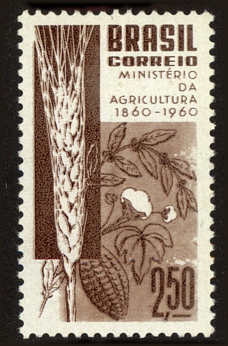 Front view of Brazil 909 collectors stamp