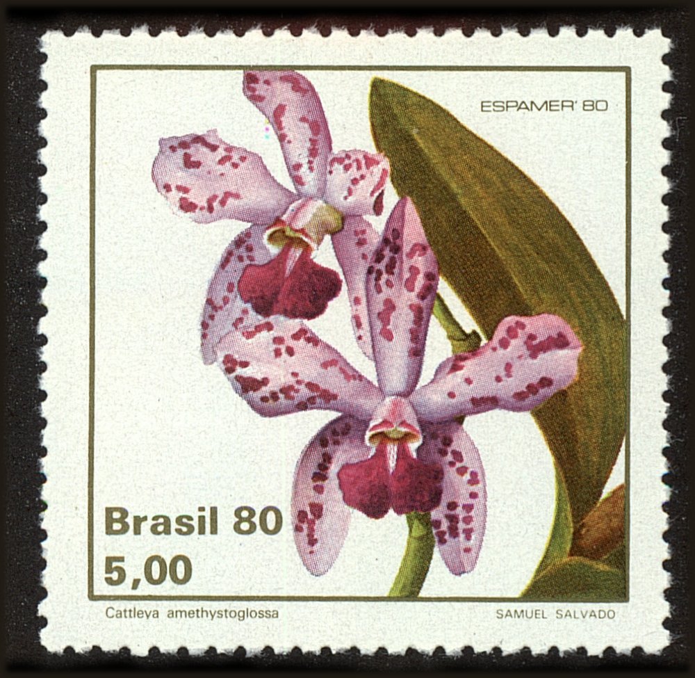 Front view of Brazil 1711 collectors stamp