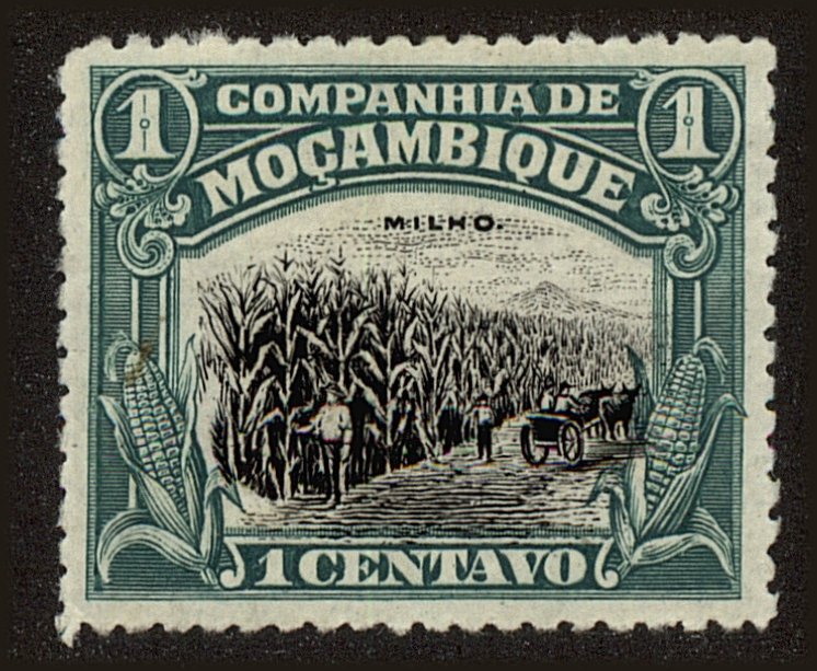 Front view of Mozambique Company 111 collectors stamp