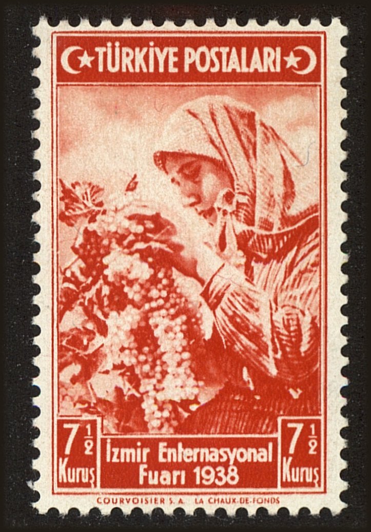 Front view of Turkey 795 collectors stamp