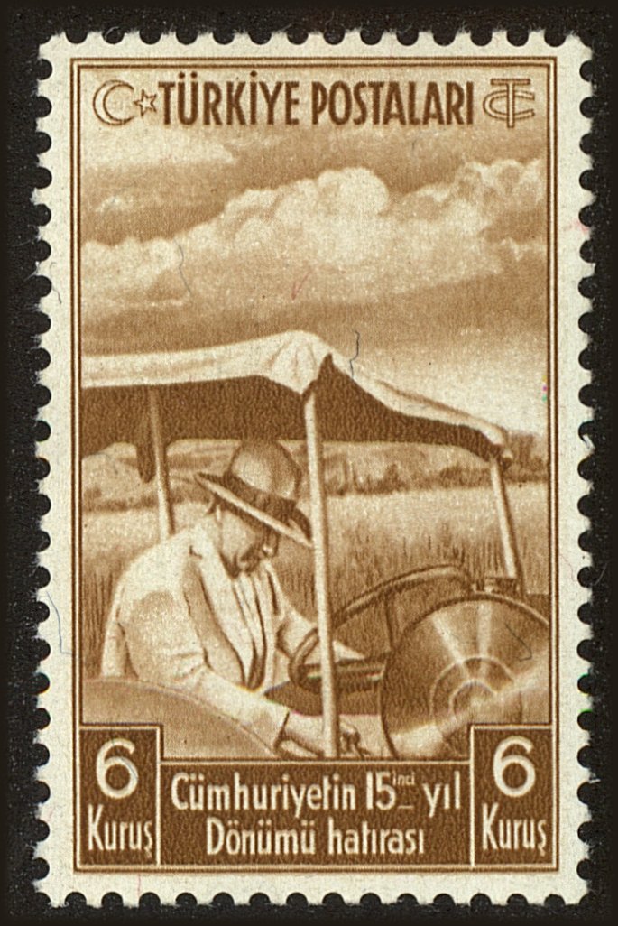 Front view of Turkey 807 collectors stamp