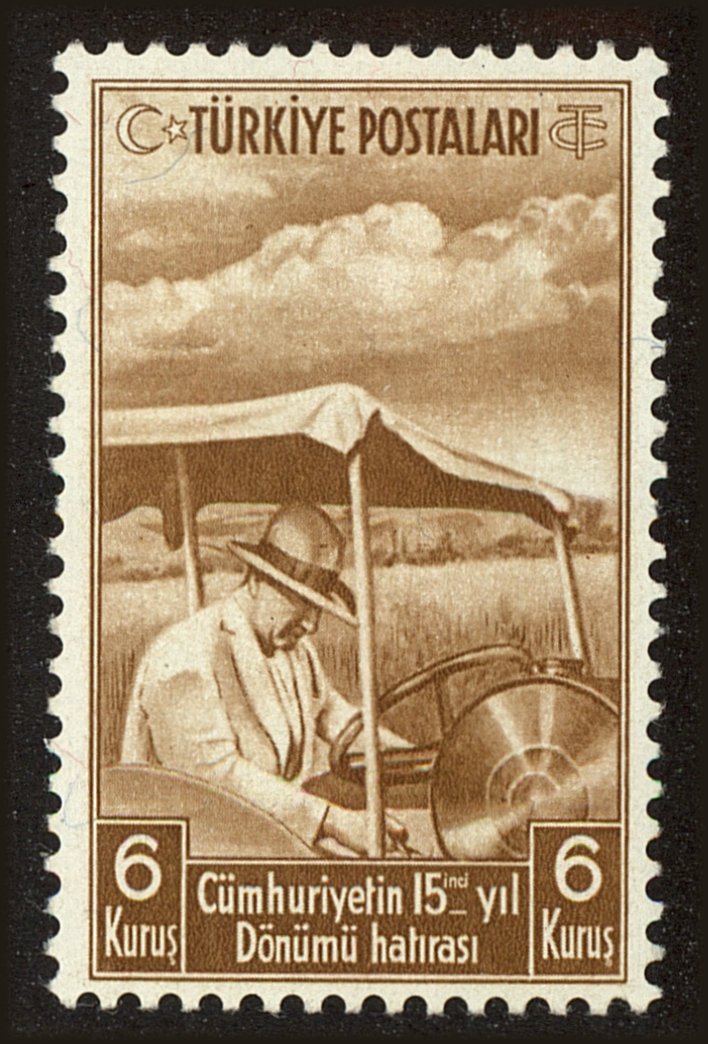 Front view of Turkey 807 collectors stamp