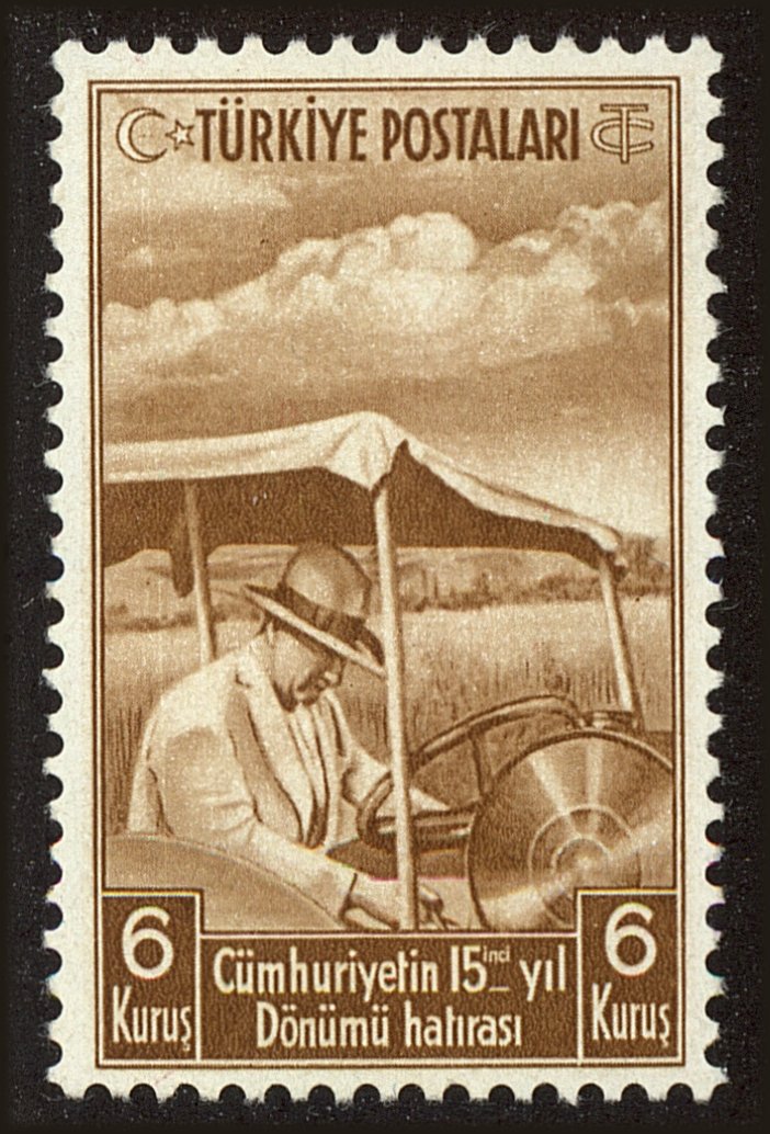 Front view of Turkey 807 collectors stamp