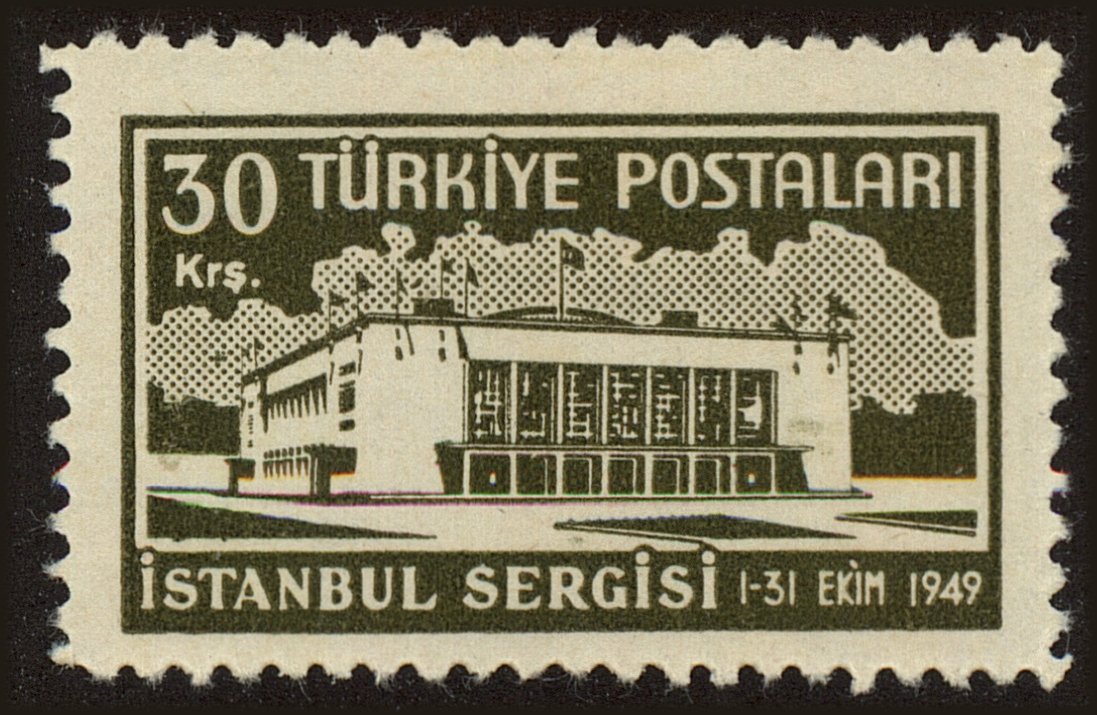 Front view of Turkey 1002 collectors stamp