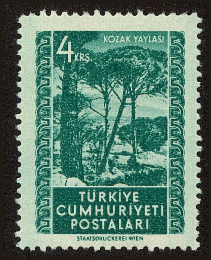 Front view of Turkey 1062 collectors stamp