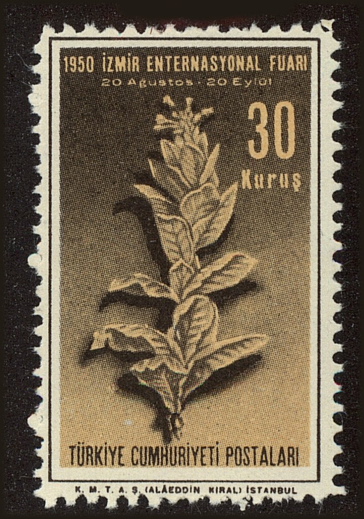Front view of Turkey 1012 collectors stamp