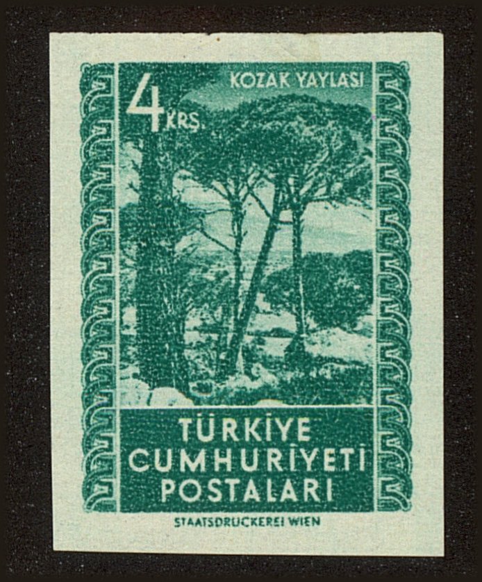 Front view of Turkey 1062 collectors stamp