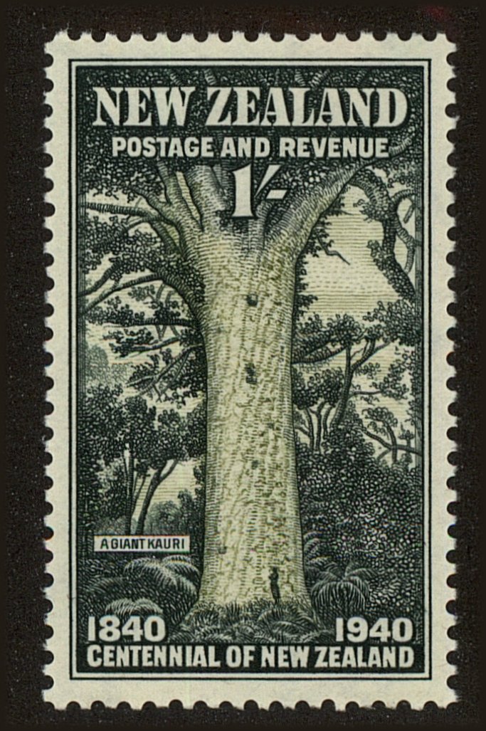 Front view of New Zealand 241 collectors stamp