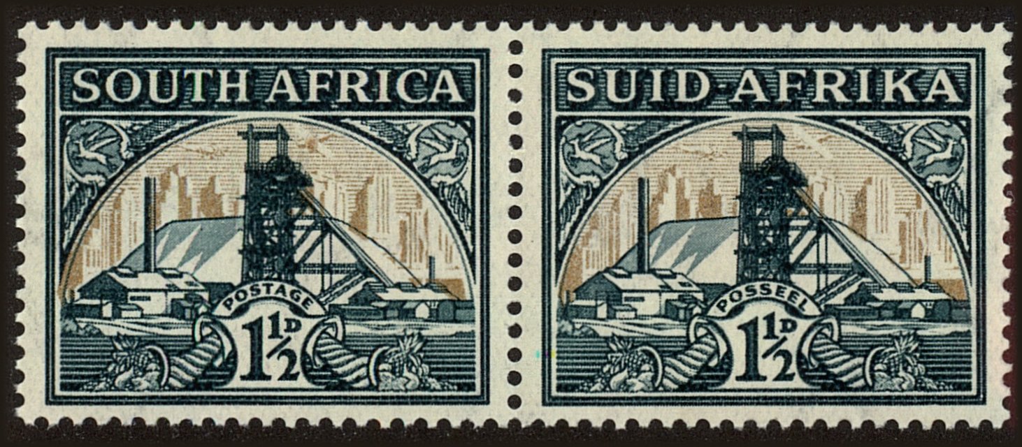 Front view of South Africa 51 collectors stamp