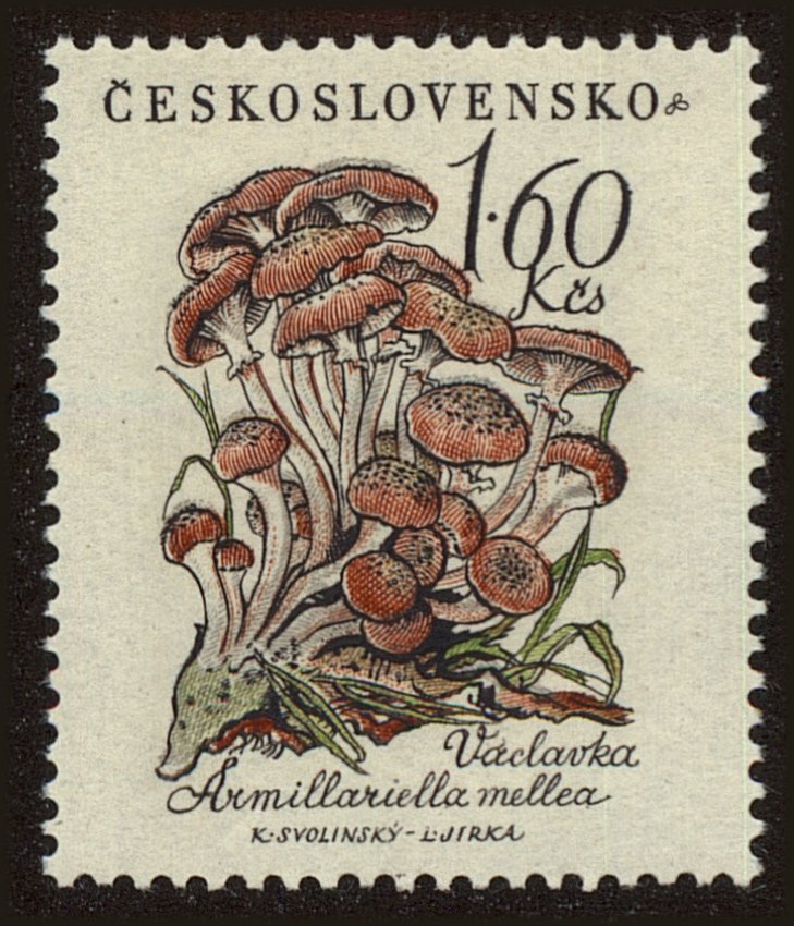Front view of Czechia 886 collectors stamp