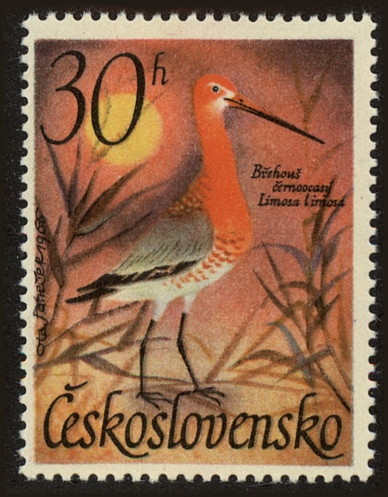 Front view of Czechia 1447 collectors stamp
