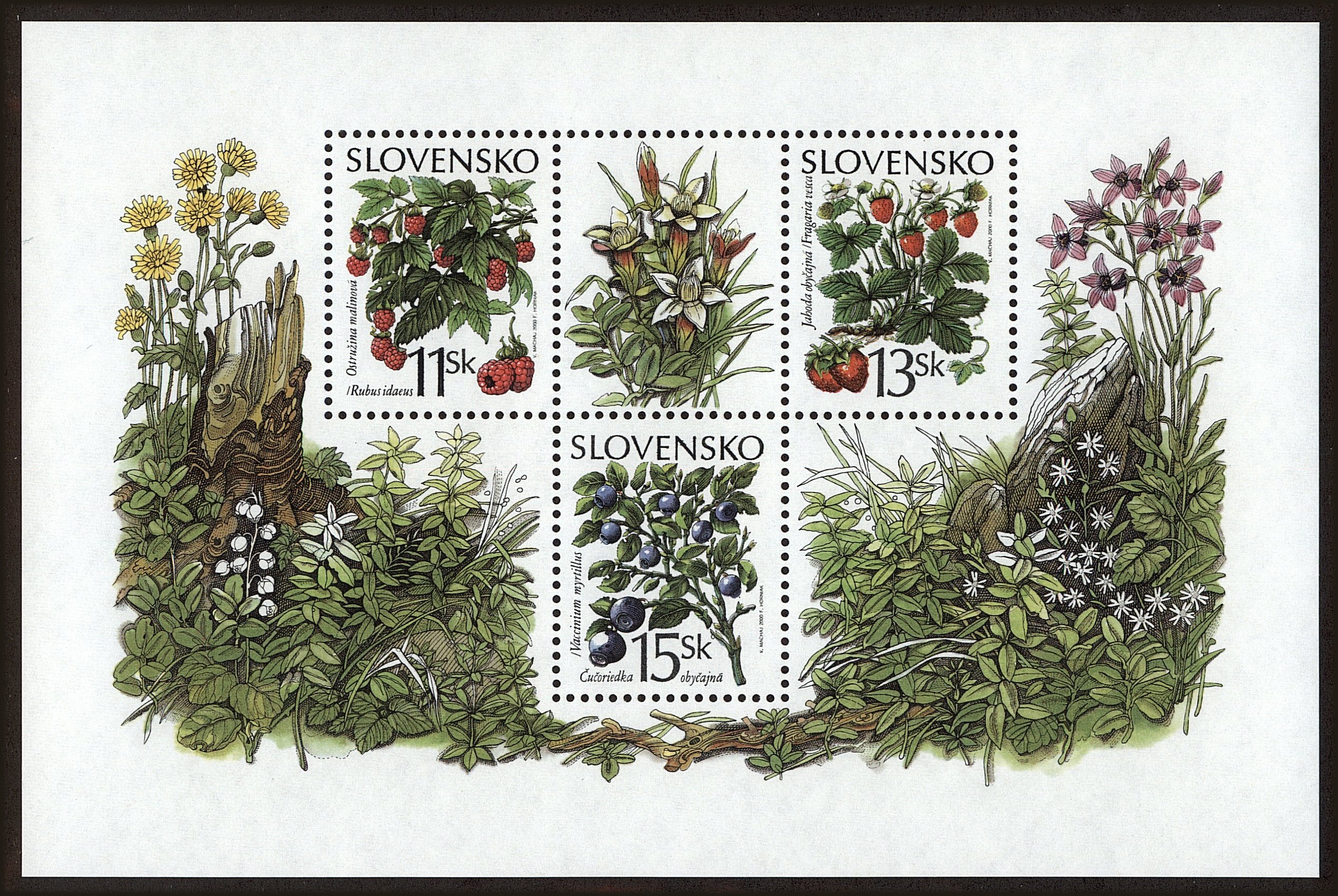 Front view of Slovakia 363 collectors stamp