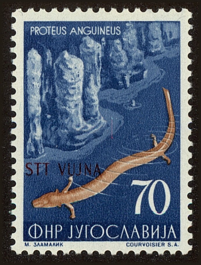 Front view of Trieste (Zone B) 103 collectors stamp