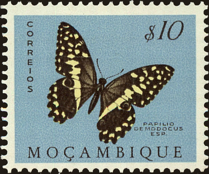 Front view of Mozambique 364 collectors stamp