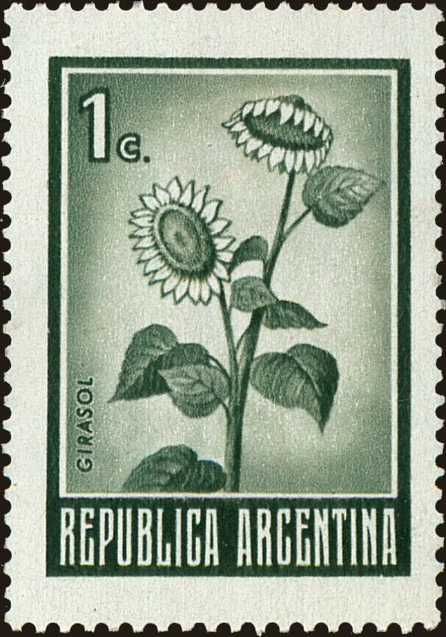Front view of Argentina 923 collectors stamp