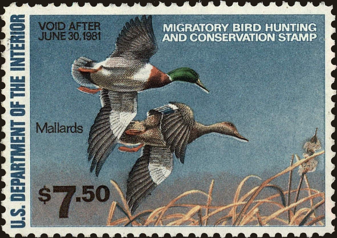 Front view of United States RW47 collectors stamp