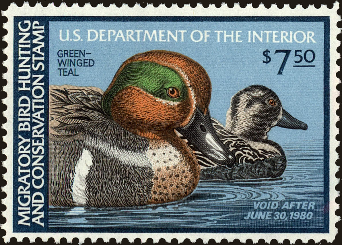 Front view of United States RW46 collectors stamp
