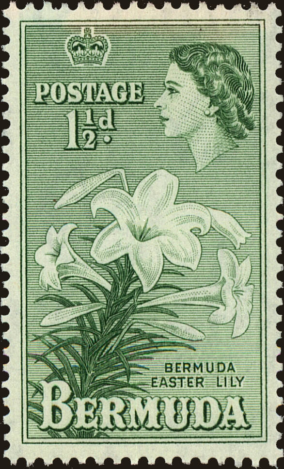 Front view of Bermuda 145 collectors stamp