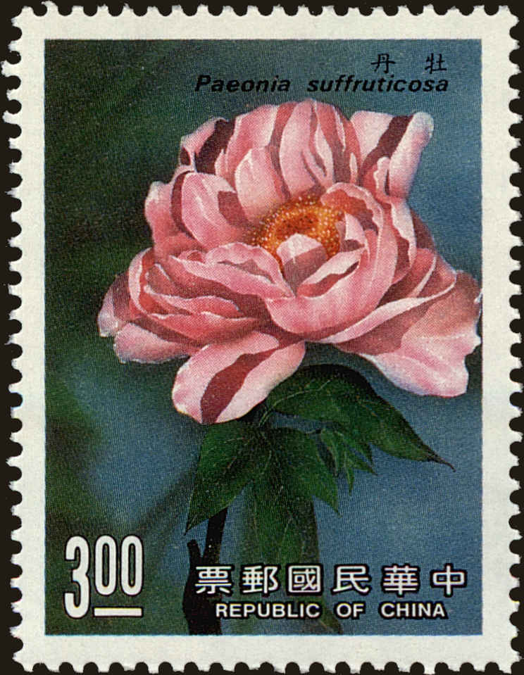 Front view of China and Republic of China 2619 collectors stamp