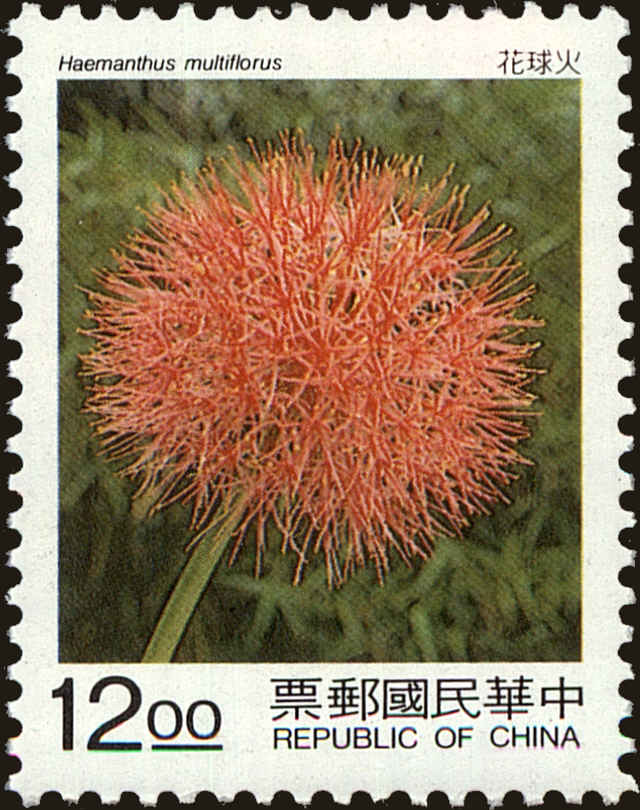Front view of China and Republic of China 3001 collectors stamp