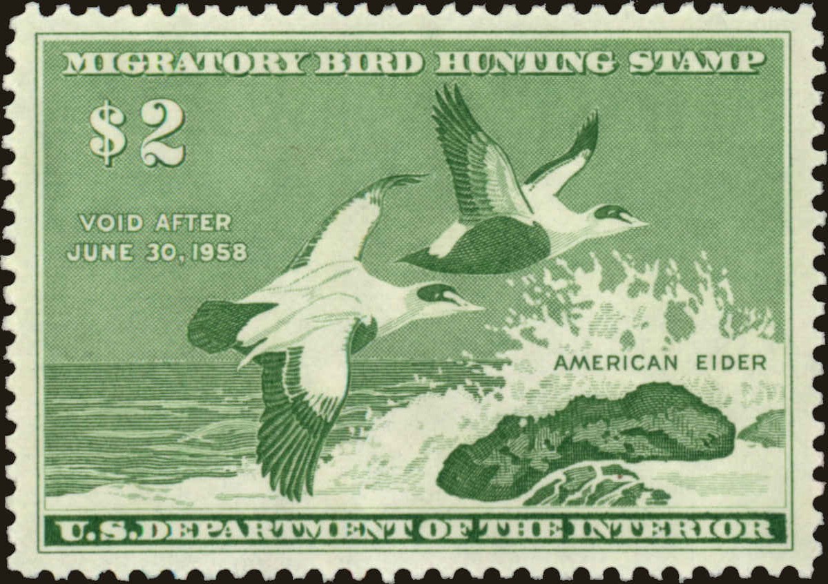 Front view of United States RW24 collectors stamp